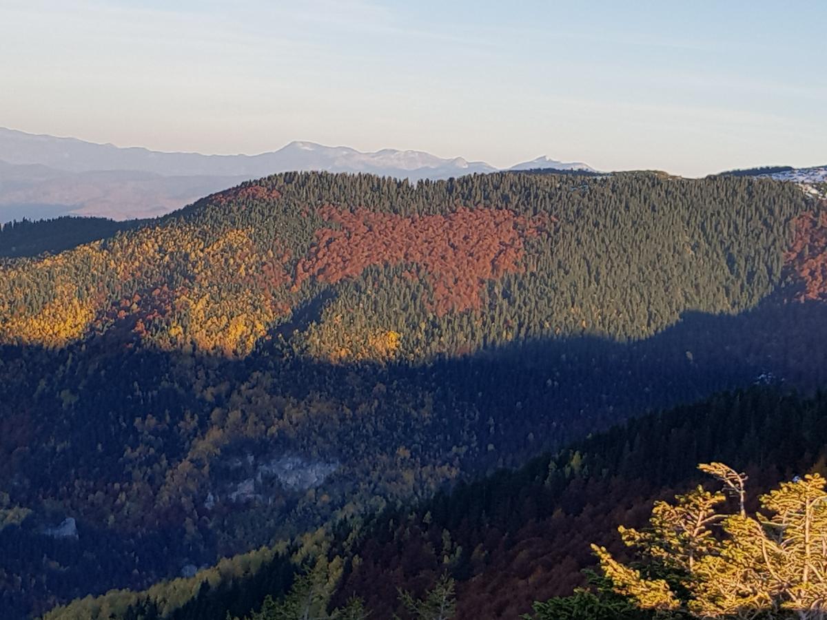 Hotel Dvor Bijelo Polje Luaran gambar